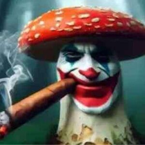 Meet your Posher, Bryce